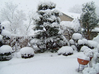 �t���[��